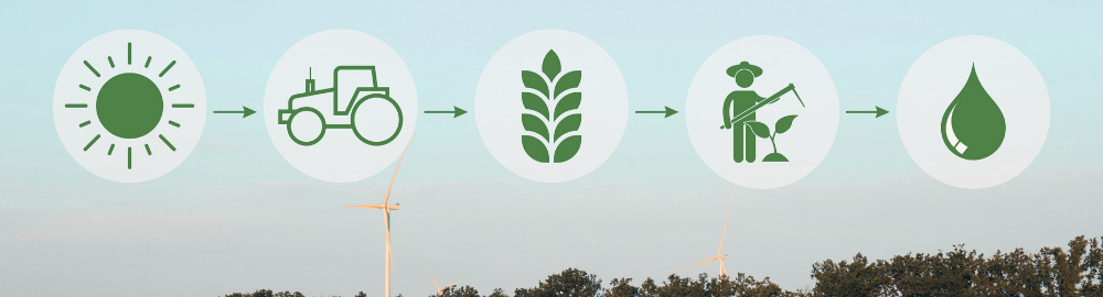 The Promising Future of Biofuels: Trends, Policies, and Global Initiatives
